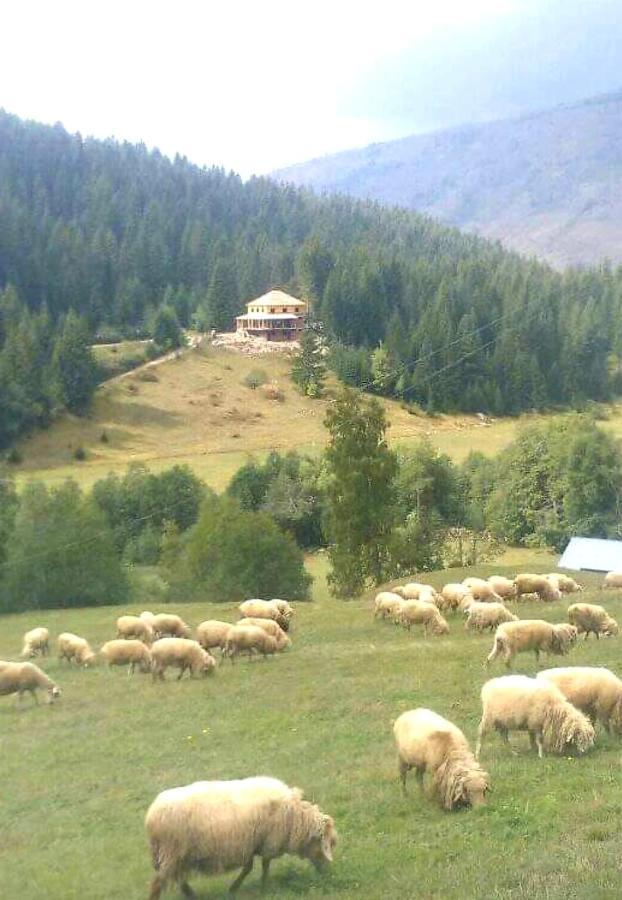 Isov Ranch Villa Плав Екстериор снимка