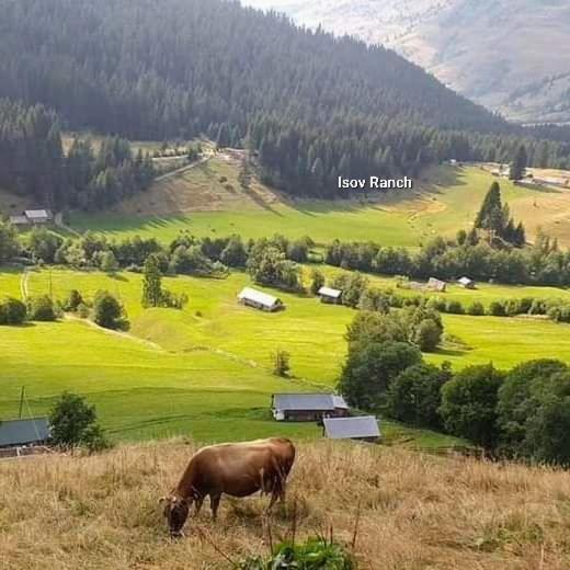 Isov Ranch Villa Плав Екстериор снимка