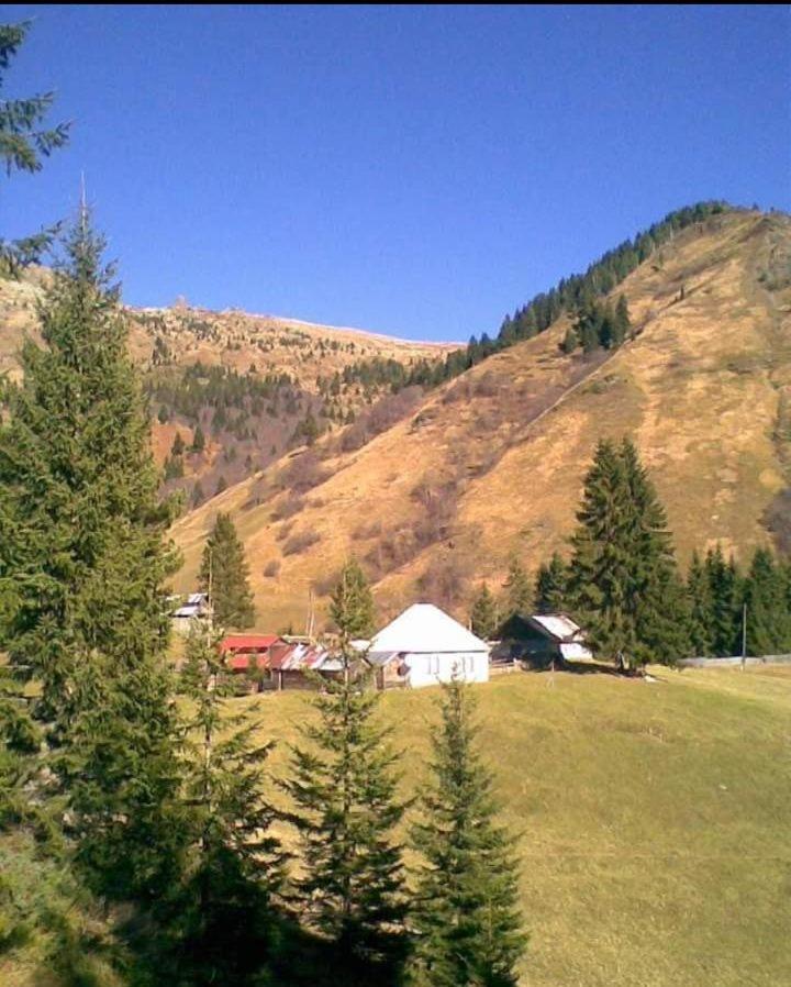 Isov Ranch Villa Плав Екстериор снимка