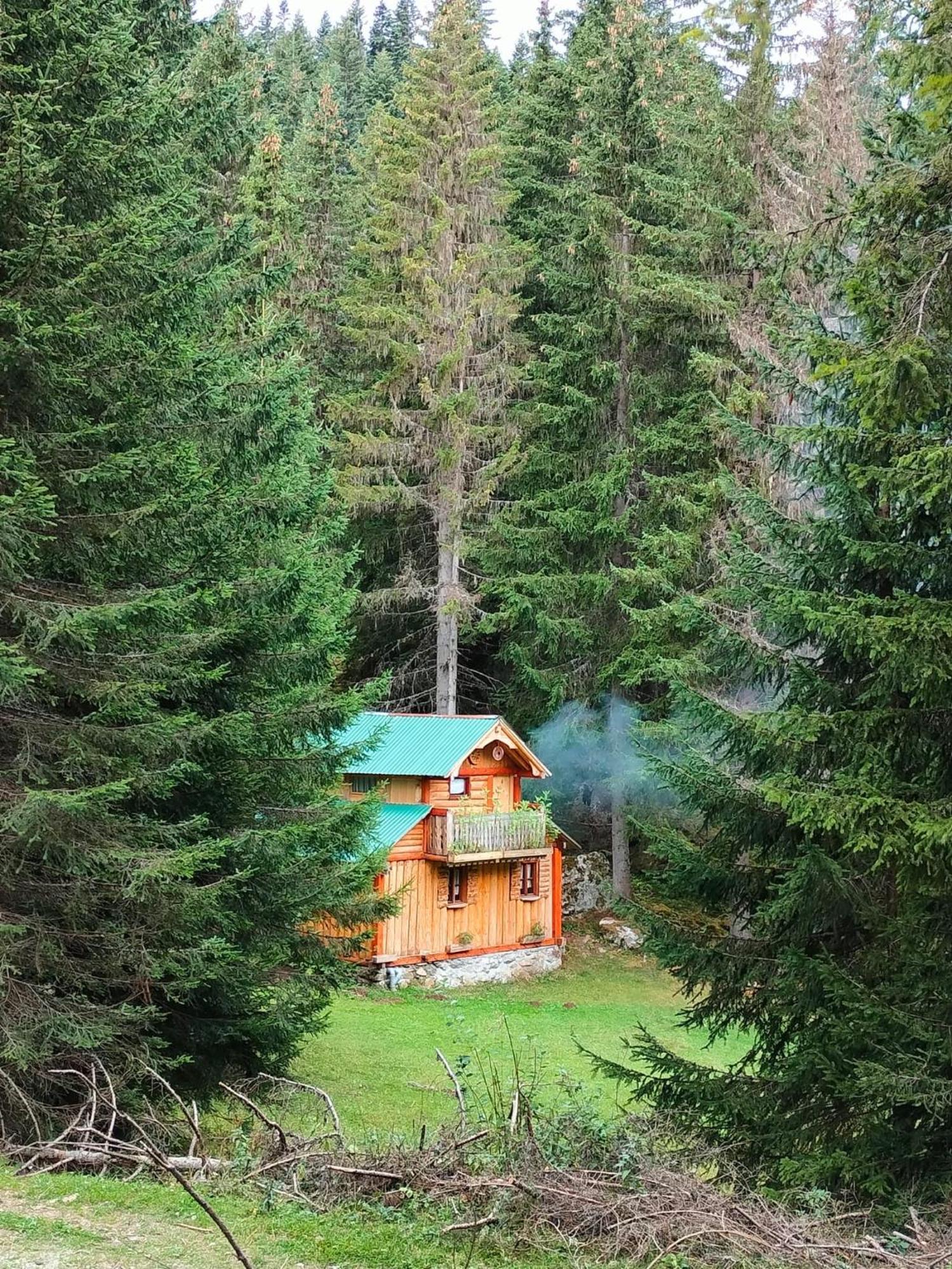 Isov Ranch Villa Плав Екстериор снимка